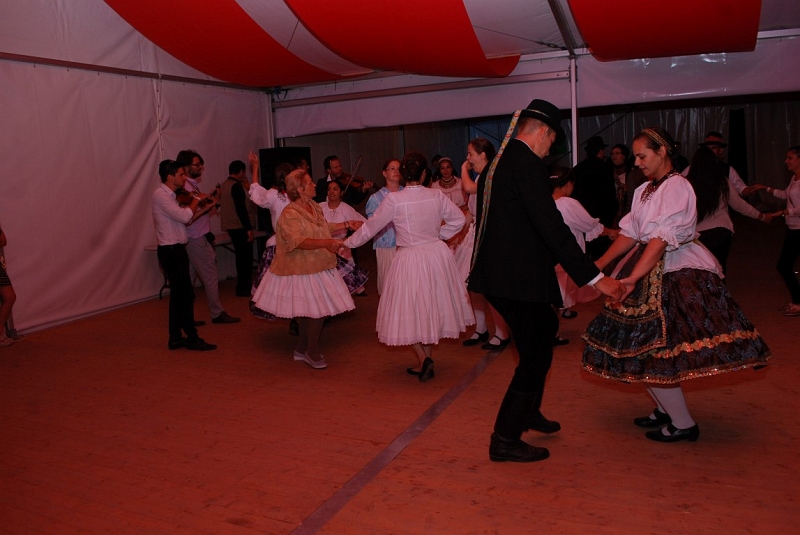 DSC_2368 (Medium).JPG